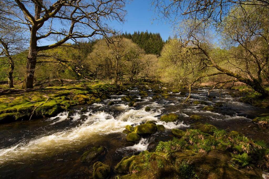 Charming Riverside Cottage In Snowdonia National Park Tanygrisiau Dış mekan fotoğraf