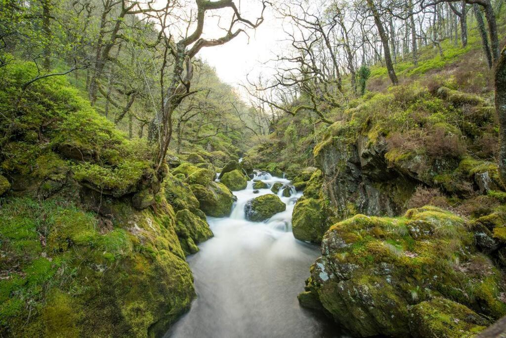 Charming Riverside Cottage In Snowdonia National Park Tanygrisiau Dış mekan fotoğraf
